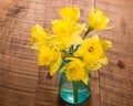 Bouquet of yellow daffodil flowers in a jar Royalty Free Stock Photo