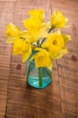 Bouquet of yellow daffodil flowers in a jar Royalty Free Stock Photo