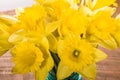 Bouquet of yellow daffodil flowers in a jar Royalty Free Stock Photo