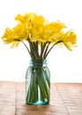 Bouquet of yellow daffodil flowers in a jar Royalty Free Stock Photo