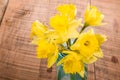 Bouquet of yellow daffodil flowers in a jar Royalty Free Stock Photo