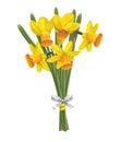 Bouquet of yellow daffodils Royalty Free Stock Photo