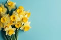 Bouquet yellow daffodils. Generate Ai Royalty Free Stock Photo