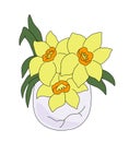 Bouquet of yellow daffodils with green leaves growing in lilac eggshells