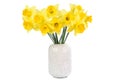 Bouquet of yellow Daffodils isolated on white background Royalty Free Stock Photo
