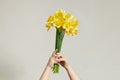A bouquet of yellow daffodils in kids hands on white background. Royalty Free Stock Photo