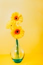 Bouquet of yellow daisy-gerbera flowers in a stylish glass vase on bright yellow background. Monochrome. Vertical Floral Royalty Free Stock Photo