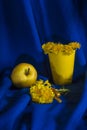 Bouquet of yellow dandelion flowers on a blue cloth with a yellow apple and a glass. Vintage still life. Spring Royalty Free Stock Photo