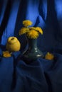 Bouquet of yellow dandelion flowers in a vase on a blue cloth with a yellow apple. Vintage still life. Spring background Royalty Free Stock Photo