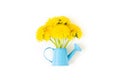 Bouquet of yellow dandelions flowers in blue watering can isolated on white background. Top view Creative Flat lay Minimal style Royalty Free Stock Photo