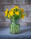 Bouquet of yellow dandelions with a glass vase on a wooden table Royalty Free Stock Photo