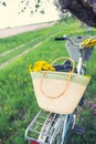 Summer leisure: a bouquet of yellow dandelions in an old wicker basket on a retro bike near the trunk of an old apple tree on a