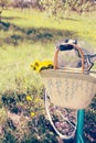 Summer leisure: a bouquet of yellow dandelions in an old wicker basket on a retro bike near the trunk of an old apple tree on a