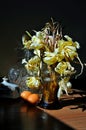 Yellow dried tulips in kitchen Royalty Free Stock Photo