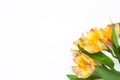 Bouquet of yellow flowers alstroemeria on white background. Flat lay. Horizontal. Mockup with copy space for greeting card