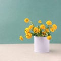Bouquet of yellow flowers in a bank. Floral decoration. Spring and summer time minimal close up. Royalty Free Stock Photo