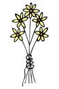 Bouquet of yellow flowers. The flowers are tied with thread. Cartoon style. Flowering plants Royalty Free Stock Photo