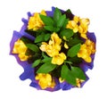 Bouquet of yellow fresia flower