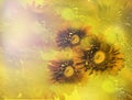 Bouquet of yellow gerbera flowers on bright blurred background.