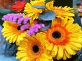 Bouquet of yellow gerbera jamesonii