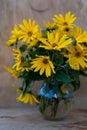 A bouquet of yellow Jerusalem artichoke flowers in a glass vase on a wooden background. Postcard with place for text. A simple Royalty Free Stock Photo