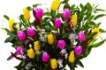 Bouquet of yellow and lilac tulips on a white background. Royalty Free Stock Photo