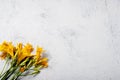 Bouquet of Yellow lilies on concrete white background Royalty Free Stock Photo