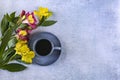 Bouquet of yellow and pink alstroemerias and a blue cup of coffee on a blue background. Royalty Free Stock Photo