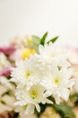 A bouquet of yellow and pink asters and gerberas in a glass vase against the backdrop of a window with rays of sun. Royalty Free Stock Photo