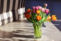 A bouquet of yellow and pink tulips in a glass vase stands on the floor in bright sunlight with contrasting shadows Royalty Free Stock Photo