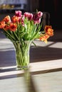 A bouquet of yellow and pink tulips in a glass vase stands on the floor in bright sunlight with contrasting shadows Royalty Free Stock Photo