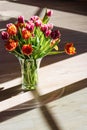 A bouquet of yellow and pink tulips in a glass vase stands on the floor in bright sunlight with contrasting shadows Royalty Free Stock Photo