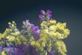 Bouquet of yellow and purple  flowers on a dark background. Bouquet of statice sea lavender Royalty Free Stock Photo