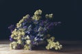 Bouquet of yellow and purple  flowers on a dark background. Bouquet of statice sea lavender Royalty Free Stock Photo