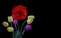 Bouquet of yellow and purple tulips and poppy on black background close-up