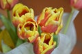 Bouquet of yellow-red tulips. Close-up photo. Top view. Royalty Free Stock Photo