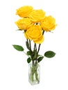 Bouquet of yellow roses Royalty Free Stock Photo