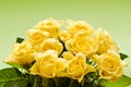 Bouquet of yellow roses