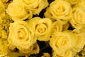 Bouquet of yellow roses Royalty Free Stock Photo