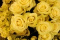 Bouquet of yellow roses Royalty Free Stock Photo