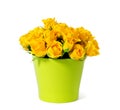 Bouquet of yellow roses Royalty Free Stock Photo