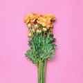 Bouquet of yellow roses flowers on a pink background Royalty Free Stock Photo