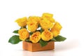 Bouquet of yellow roses is in a small orange box on a white background. Flowers are horizontal close-up Royalty Free Stock Photo