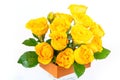 Bouquet of yellow roses is in a small orange box on a white background. Flowers are horizontal close-up Royalty Free Stock Photo