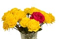 Bouquet of yellow roses in a vase isolated Royalty Free Stock Photo