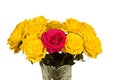 Bouquet of yellow roses in a vase isolated Royalty Free Stock Photo