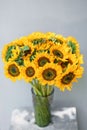 Bouquet of yellow sunflowers , flower in vase on old vintage table. Room morning. Gray background. Colors of autumn and Royalty Free Stock Photo