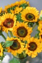 Bouquet of yellow sunflowers , flower in vase on old vintage table. Room morning. Gray background. Colors of autumn and Royalty Free Stock Photo