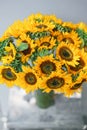 Bouquet of yellow sunflowers , flower in vase on old vintage table. Room morning. Gray background. Colors of autumn and Royalty Free Stock Photo