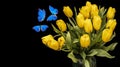 A bouquet of yellow tulips with blue butterflies isolated on a black background. beautiful flowers with moths. Isolate Royalty Free Stock Photo